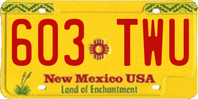 NM license plate 603TWU