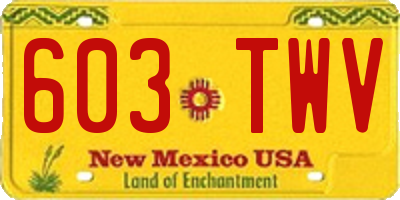 NM license plate 603TWV