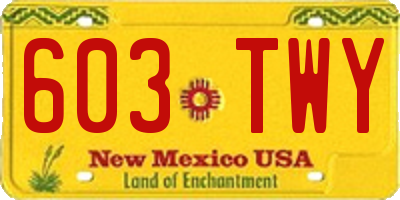 NM license plate 603TWY