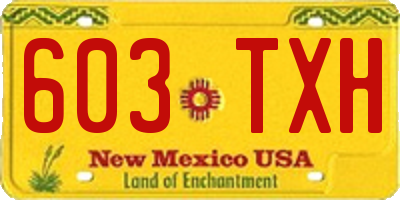NM license plate 603TXH