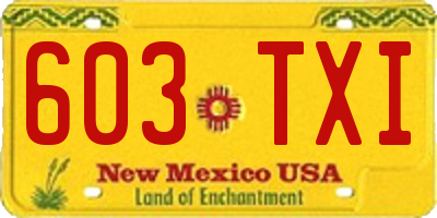 NM license plate 603TXI