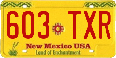 NM license plate 603TXR