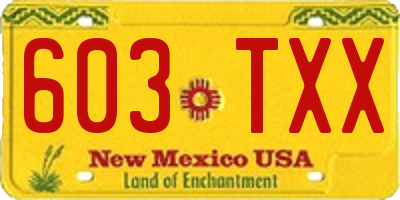 NM license plate 603TXX