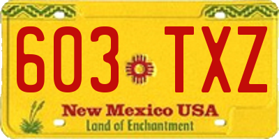 NM license plate 603TXZ