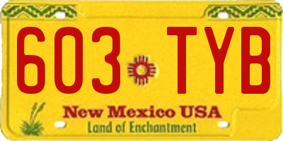 NM license plate 603TYB