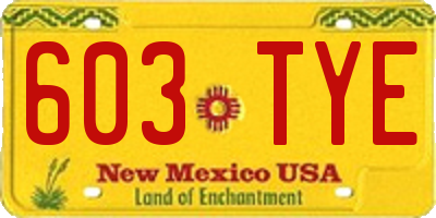 NM license plate 603TYE