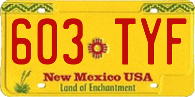 NM license plate 603TYF