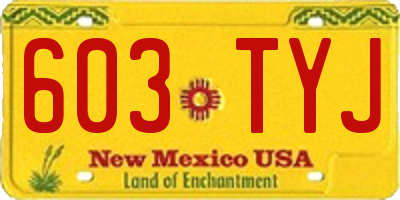 NM license plate 603TYJ