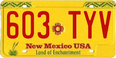 NM license plate 603TYV