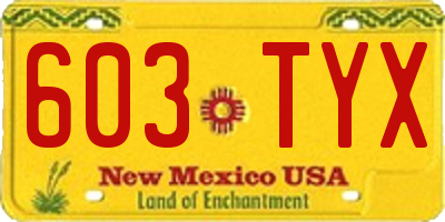 NM license plate 603TYX
