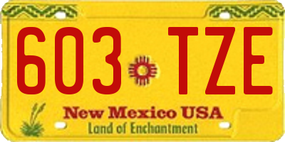 NM license plate 603TZE