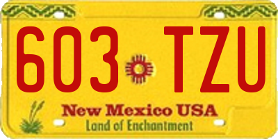 NM license plate 603TZU