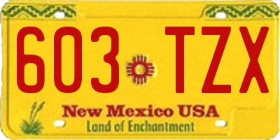 NM license plate 603TZX