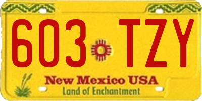 NM license plate 603TZY