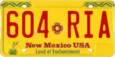NM license plate 604RIA