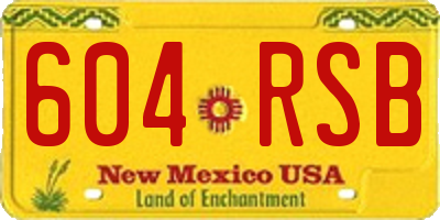 NM license plate 604RSB