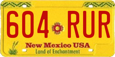 NM license plate 604RUR