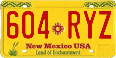 NM license plate 604RYZ
