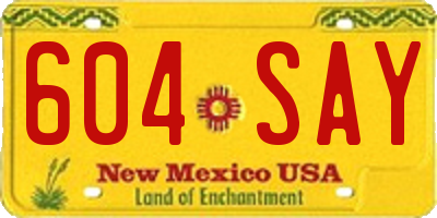 NM license plate 604SAY