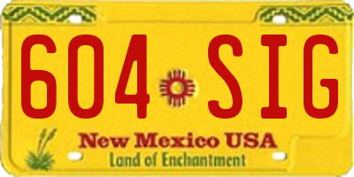 NM license plate 604SIG