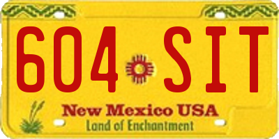 NM license plate 604SIT