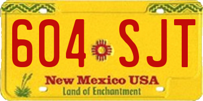 NM license plate 604SJT