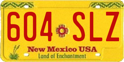 NM license plate 604SLZ