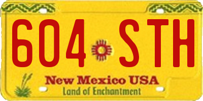 NM license plate 604STH