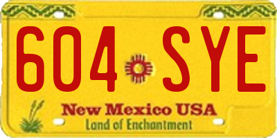 NM license plate 604SYE