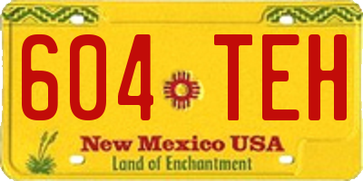 NM license plate 604TEH