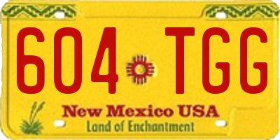 NM license plate 604TGG