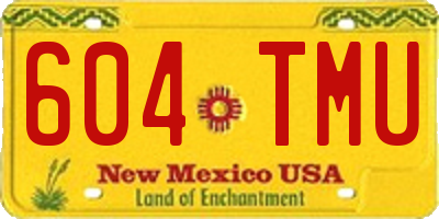 NM license plate 604TMU