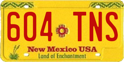 NM license plate 604TNS