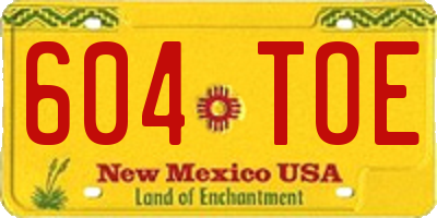 NM license plate 604TOE