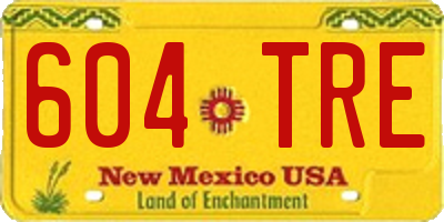 NM license plate 604TRE