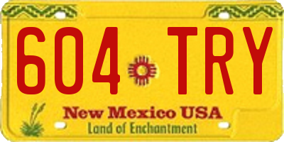 NM license plate 604TRY