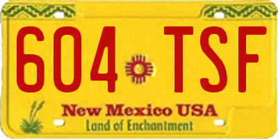 NM license plate 604TSF