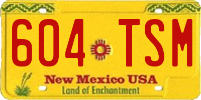 NM license plate 604TSM