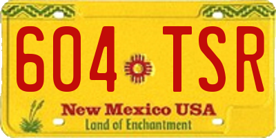 NM license plate 604TSR