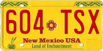 NM license plate 604TSX