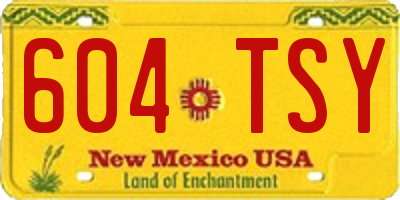 NM license plate 604TSY