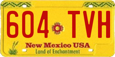 NM license plate 604TVH