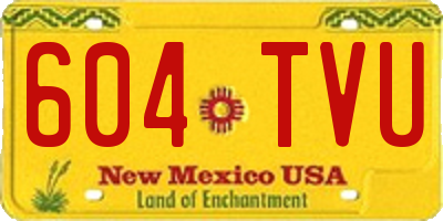NM license plate 604TVU