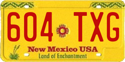 NM license plate 604TXG
