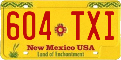NM license plate 604TXI