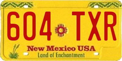 NM license plate 604TXR