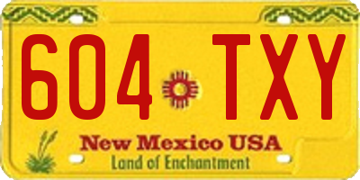 NM license plate 604TXY