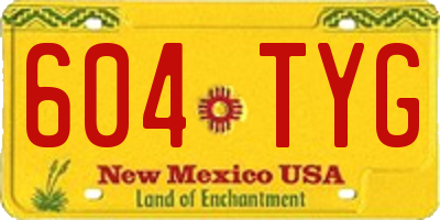 NM license plate 604TYG
