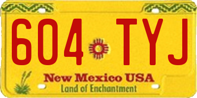 NM license plate 604TYJ