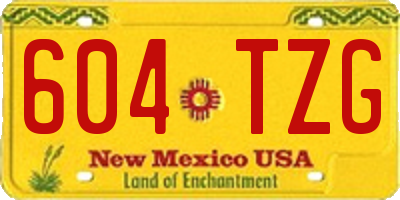 NM license plate 604TZG